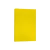 Astrobrights Ledger 65lb Colored Cardstock Tabloid Size 11 X 17 Yellow Recycled 16728490 -Paper Supplies Store GUEST 0e274e9c e518 46f7 aa9d 4b1c684abfad