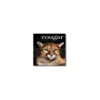 Domtar Cougar 11" X 17" 65 Lbs. Digital Smooth Laser Paper Natural 1250/Case 7705WCASE -Paper Supplies Store GUEST 183a0397 b1a1 4cbd 84c5 321b843ebafb