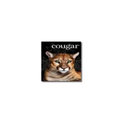 Domtar Cougar 11" X 17" 65 Lbs. Digital Smooth Laser Paper Natural 1250/Case 7705WCASE