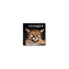 Domtar Cougar 11" X 17" 70 Lbs. Digital Smooth Laser Paper White 2000/Case 2828CASE -Paper Supplies Store GUEST 3510a4c7 9940 40b6 8131 d5e041246247