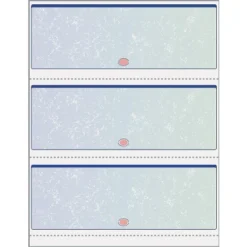 Paris DocuGard 8.5" X 11" Business Security Check In Middle 24 Lbs. Blue 500 Sheets/Ream (PRB04539)