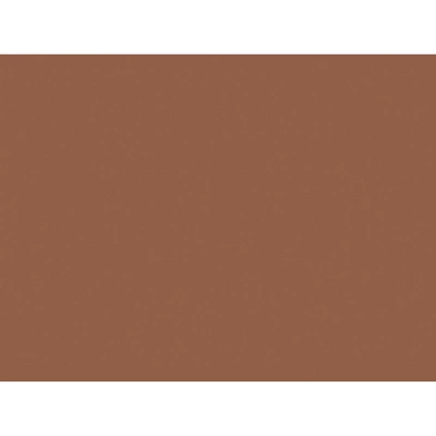 Pacon Tru-Ray Construction Paper Warm Brown 18" X 24" 50 Sheets Per Pack 2 Packs (PAC103089-2) 3 Pacon Tru-Ray Construction Paper Warm Brown 18" X 24" 50 Sheets Per Pack 2 Packs (PAC103089-2)