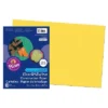 Pacon SunWorks 12" X 18" Construction Paper Yellow 50 Sheets/Pack 5 Packs (PAC8407-5) -Paper Supplies Store GUEST 8b46ee76 aa79 405e b1ed 188013b0767f