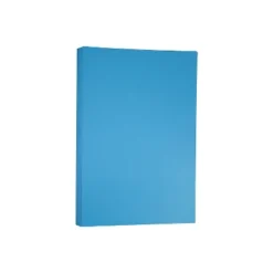 JAM Paper Ledger Matte 24lb Paper 11 X 17 Tabloid Blue Recycled 16728466