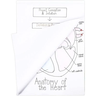 Juvale 6 Pack Easel Paper Pad, 25 Sheets Each, 2 Hole Punched For Hanging, 100 GSM Flip Chart Paper, 31.9" X 22.85" 3 Juvale 6 Pack Easel Paper Pad, 25 Sheets Each, 2 Hole Punched For Hanging, 100 GSM Flip Chart Paper, 31.9" X 22.85"