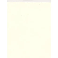 Fabriano Artistico Watercolor Paper Extra White 140 Lb. Hot Press Each (71-62910079) 39380