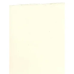 Fabriano Artistico Watercolor Paper Traditional White 140 Lb. Hot Press Each (71-31230079) 16916