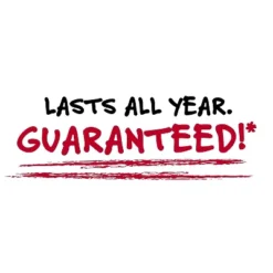 Five Star 2" 3-Ring Zipper Binders D-Ring Assorted Colors (29052) -Paper Supplies Store GUEST a58f29ff d567 46af a2c7 3c460c097b58