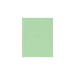 LUX Colored Paper 60 Lbs. 8.5" X 11" Pastel Green 500 Sheets/Pack (81211-P-67-500)