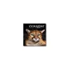Domtar Cougar 11" X 17" 60 Lbs. Digital Smooth Laser Paper White 2500/Case 2836WCASE 1 Domtar Cougar 11" X 17" 60 Lbs. Digital Smooth Laser Paper White 2500/Case 2836WCASE -Paper Supplies Store GUEST b2bcdb2f cfea 499d 947d b22034c06edb
