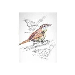 Pacon Art1st 9" X 12" Spiral Bound Sketch Book 30 Sheets/Book (103207) P103207