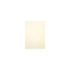 LUX 105 Lb. Cardstock Paper 8.5" X 11" Champagne Metallic 50 Sheets/Pack (81211-C-M08-50)