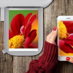 HP Sprocket Studio Plus 4 X 6" Photo Paper And Cartridges (Includes 108 Sheets And 2 Cartridges) Compatible Only With HP Sprocket Studio+ Printer -Paper Supplies Store GUEST f8201d9e a99a 4e2f b8b2 30b335b66eb4