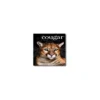 Domtar Cougar 12" X 18" 80 Lbs. Digital Smooth Laser Paper Natural 500/Case 3388CASE 2 Domtar Cougar 12" X 18" 80 Lbs. Digital Smooth Laser Paper Natural 500/Case 3388CASE -Paper Supplies Store GUEST f9c8bca5 d90e 4d2e 808f a078c2d9f2f3